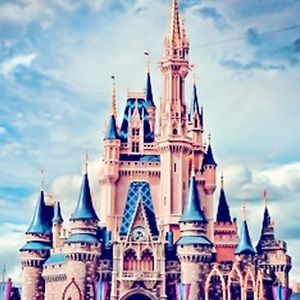 Meet your Posher, Enisia